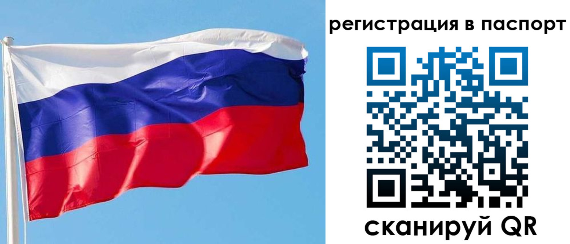 прописка законно в Купино